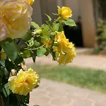 Casa Roseiras Semesterbostad *