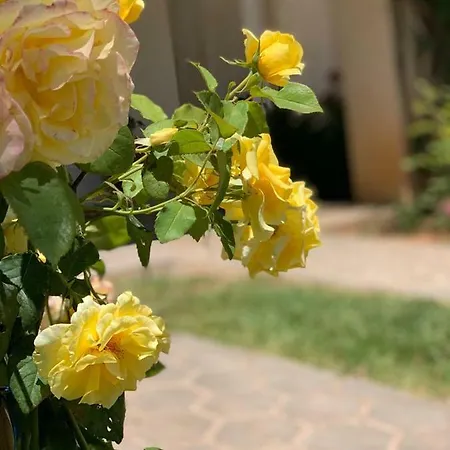 Casa Roseiras בית נופש *